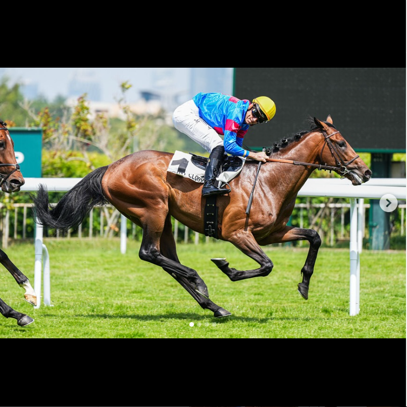 Christophe Soumillon femme