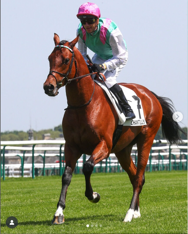 Christophe Soumillon femme