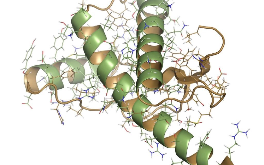 Maladie À Prion