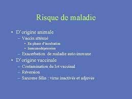 Maladie Immunodépressive