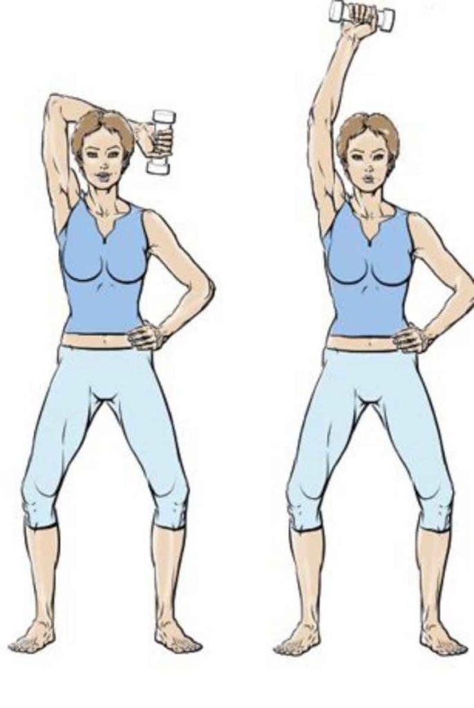 Exercice Musculation Bras Femme 