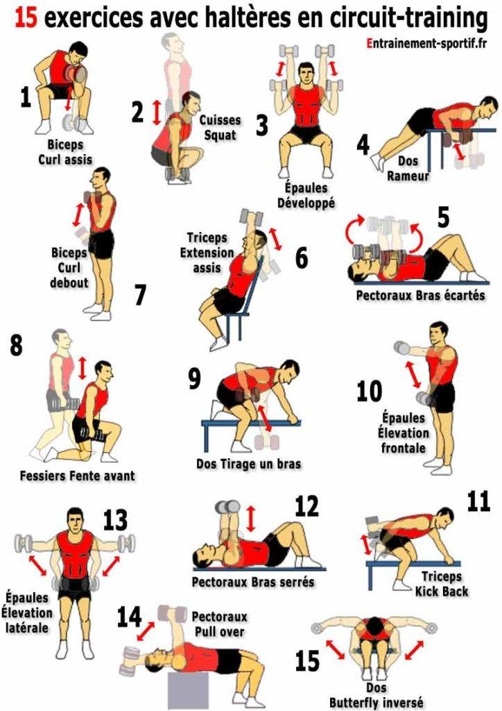 Exercice Musculation Bras Femme 