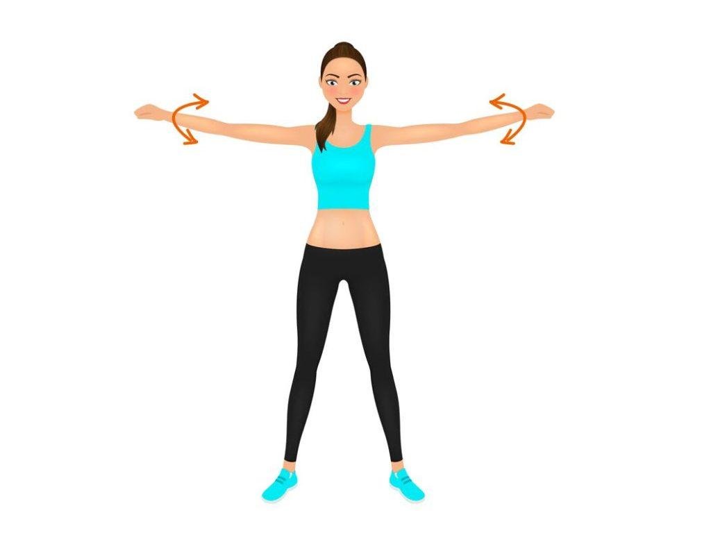 Exercice Musculation Bras Femme 