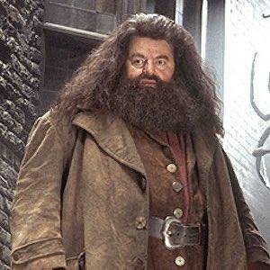 Hagrid Mort De Quoi 