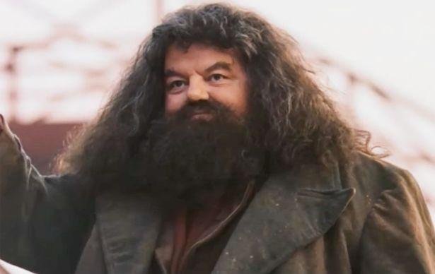 Comment Est Mort Hagrid
