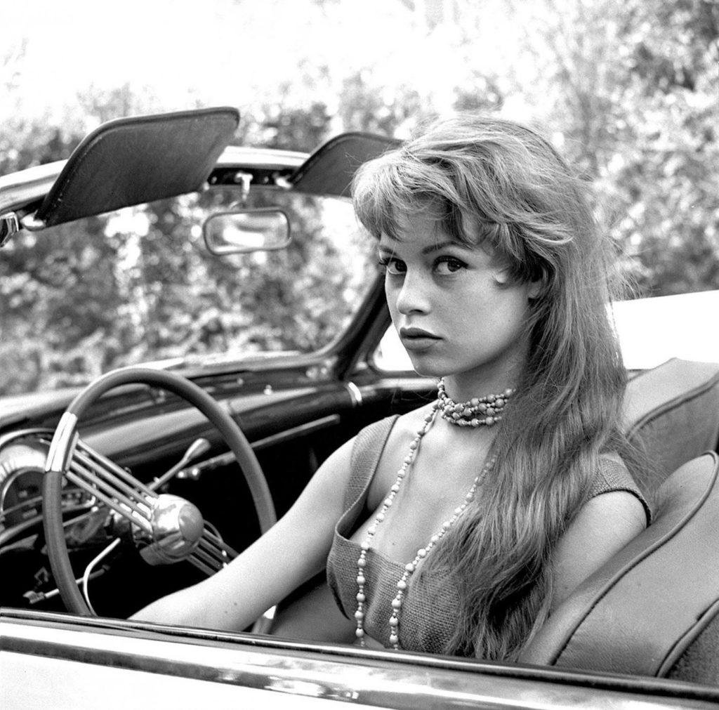 Fils De Brigitte Bardot