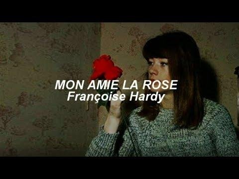 Mon Ami La Rose Auteur