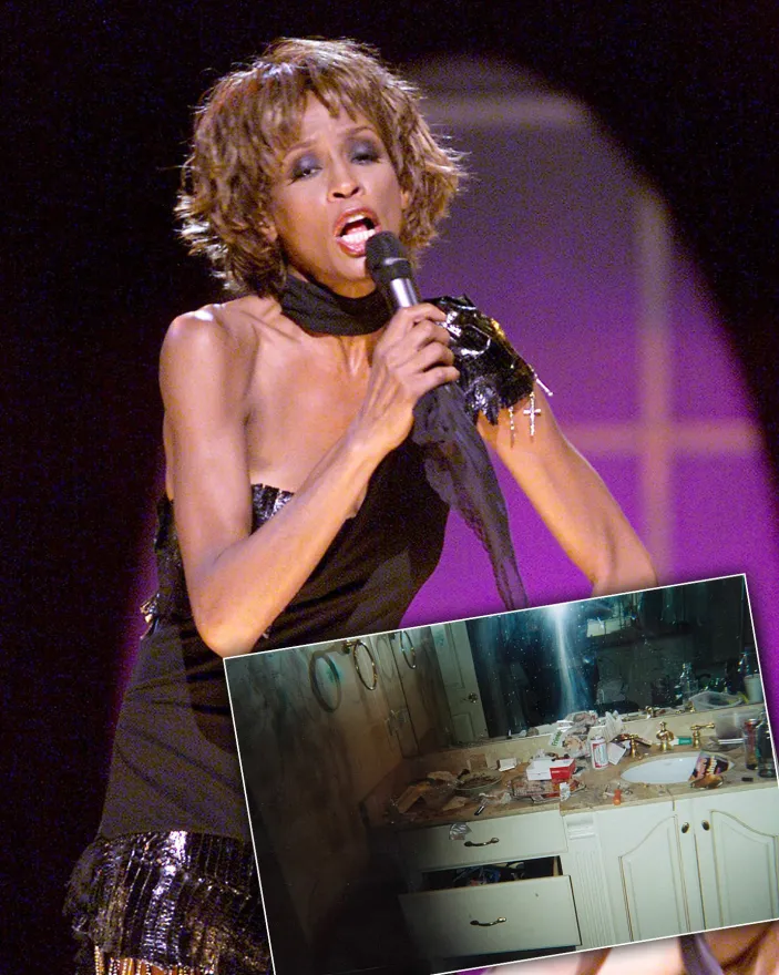 Whitney Houston Drogue