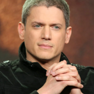 Wentworth Miller Jeune 