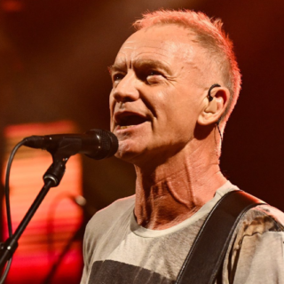 Sting Chirurgie Esthétique 