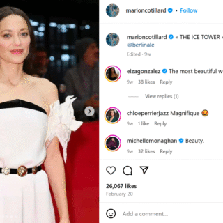 Guillaume Canet Compagne