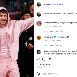 Timothée Chalamet Acteur