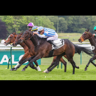 Christophe Soumillon femme