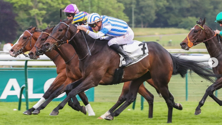 Christophe Soumillon femme