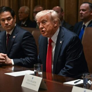 Donald Trump Elon Musk