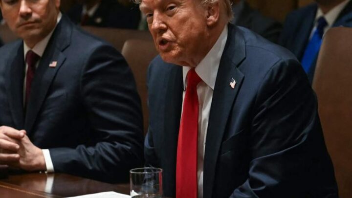 Donald Trump Elon Musk