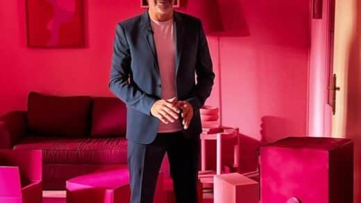 Polémique Stéphane Plaza